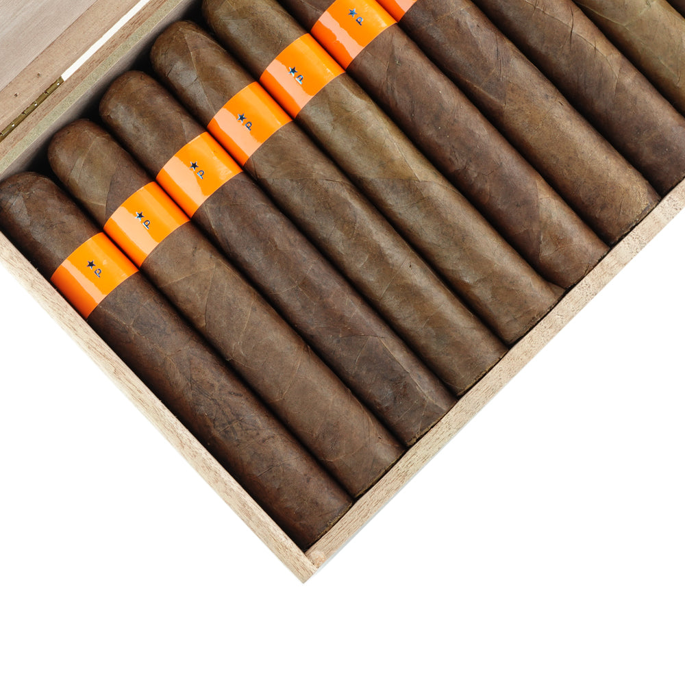 Patoro Serie P Balthasar