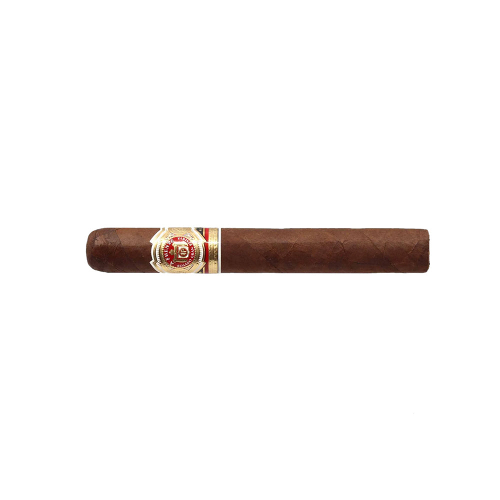 Arturo Fuente Magnum R Rosado 54